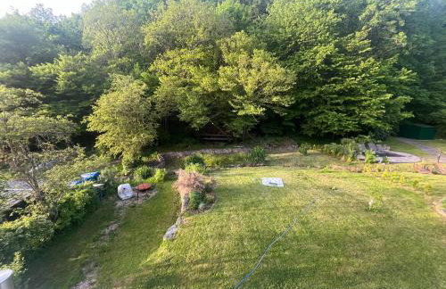 Ferienhaus Waldbaden im Nationalpark Eifel- am Bach - Foto 8