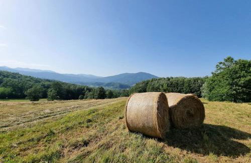 Oasi di pace nella Val di Taro - Photo 10