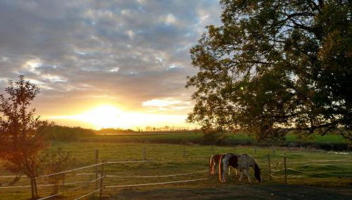 Appartement im Stall "Lune River Ranch" - Foto 3