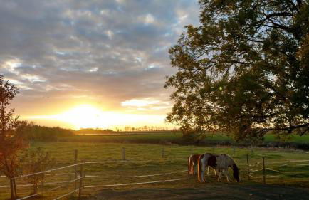 Appartement im Stall "Lune River Ranch" - Foto 3