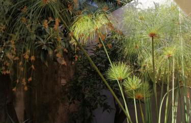 Magic Etna and glamorous blue sea - Foto 23