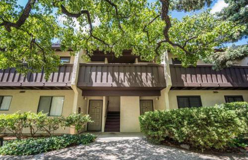 Large and full of light apartment next to Google, Apple, Stanford in the heart of Silicon Valley - Foto 1