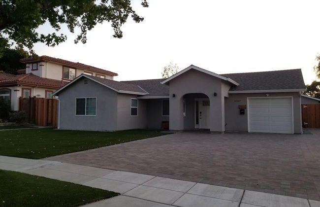 Juniper Berry - Foto 19