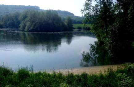 Ferienwohnung Das Fuchsrevier - Foto 28