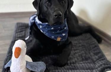 Küsten Auszeit - Foto 25