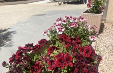 Résidence de tourisme Sous Les Pins - Foto 25