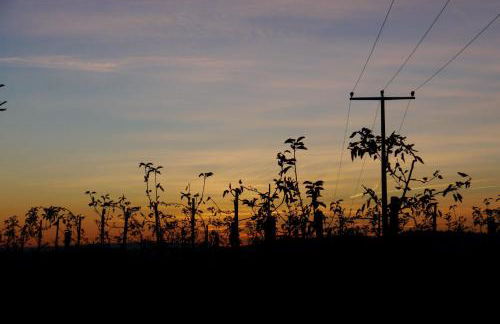 Haus Sonnengruß - Foto 27