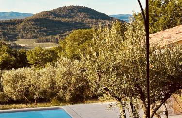 Mas de la canopée-Luberon - Foto 25