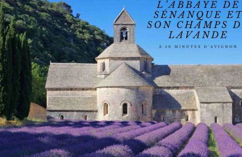 Cocon aux portes du centre ville avec terrasse - Foto 36