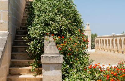 Masseria Agrituristica Lama San Giorgio - Foto 33