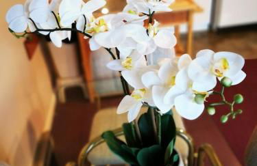 Enjoy the Long Range View, Ski in n out Top of the Mountain condo - Foto 9