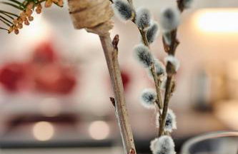 Komfortables Ferienhaus - Traumhafte Entspannung in purer Natur - Foto 22