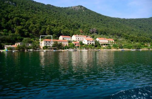 Apartments Soline - National park Mljet - Photo 25