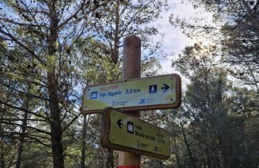 El Pitijopo - Foto 45