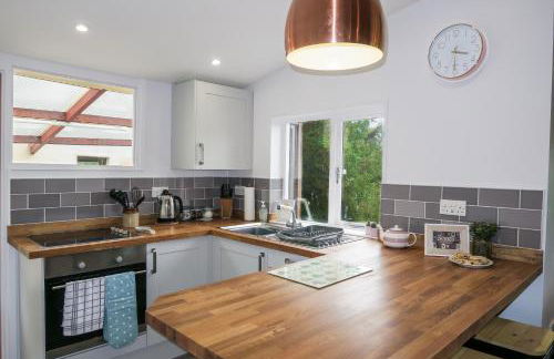 Riverside Chalet in heart of Lampeter, West Wales - Foto 15