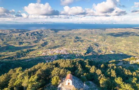 Moana House - Foto 34