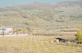 Appartamento Betulla - Peaceful & Happy Stay - Foto 11