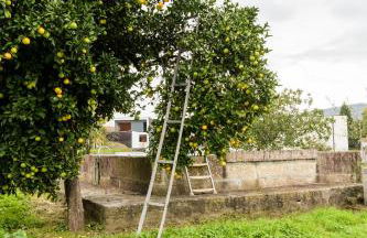 Casa Fermil do Lago - Foto 44
