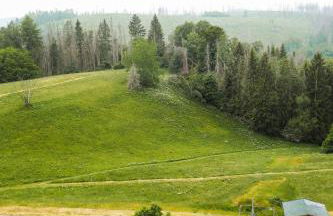 Sternenblick Lodge, im Harz, mit Schwimmbad und Sauna - Foto 31