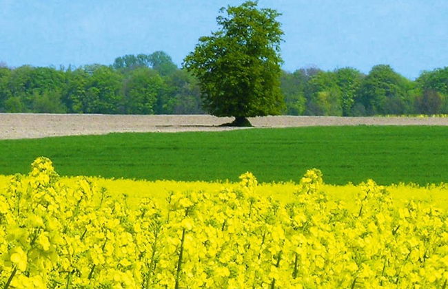 Apartment in Schwerin Near Neumuhler See - Foto 10