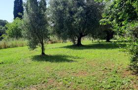 Podere Il Cerrone app Romilda con piscina - Foto 27