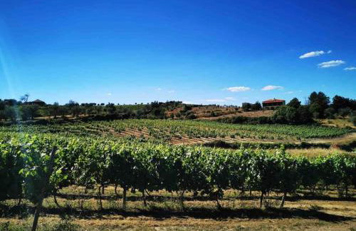 Quinta da Eira Douro Valley - Foto 20