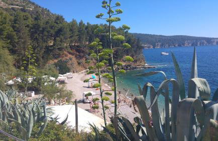 Apartments Frenkie - Photo 1