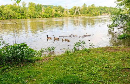 The River Shack - kayaks, fishing, quiet, family - Foto 6