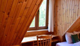 Rzeka i las - Foto 3