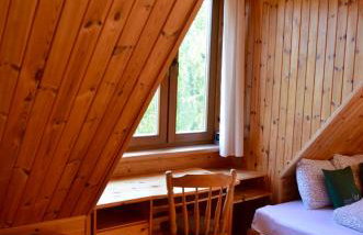 Rzeka i las - Photo 3