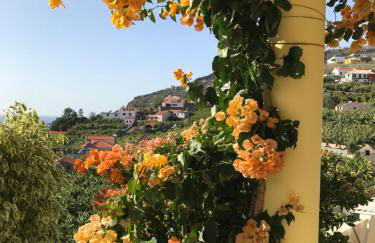 Apartamento do Sol - ETC Madeira - Foto 15