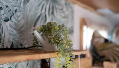 Slow Travel, aber auch gut! Wohnmobil - Foto 2