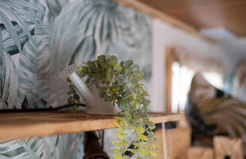 Slow Travel, aber auch gut! Wohnmobil - Foto 2