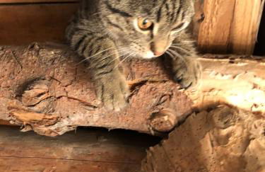 Seeblick und offener Kamin - Casa di Florian - Photo 48