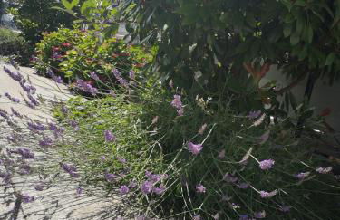 Ferienwohnung am Pilsensee - Foto 24