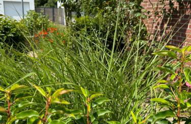 Ferienwohnung Am Haarhaus - Foto 27