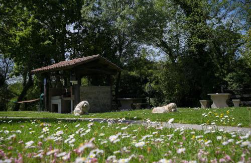 Aldea Os Muiños - Foto 45