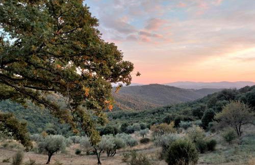 Nocini di Maremma - Photo 32