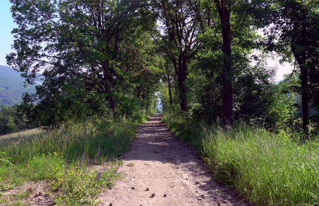 Sacreterre Room & Breakfast - Foto 26