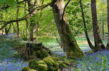 Eller How House - Private Regency Property & Lake - Foto 36