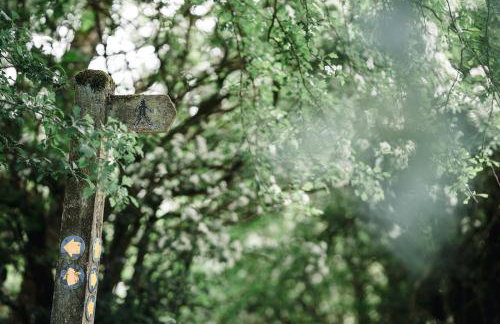 Rocking Stone Cottage - Foto 29