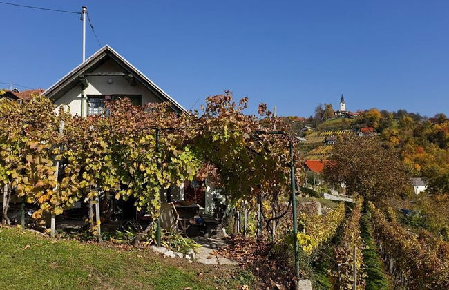 Vineyard cottage Verček - Photo 8