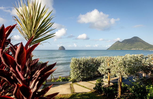 Eden Roc Villas - Photo 52