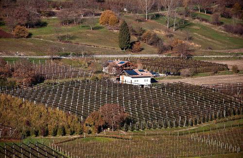 Agritur Maso Pra' Cavai B&B - Photo 19