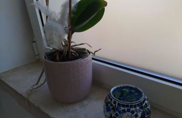 Apartamento Palomar - Foto 3