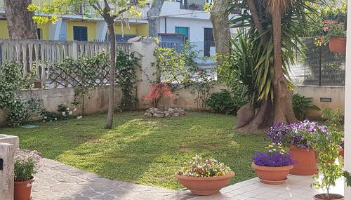 Donna Rosa - Foto 1, Garden