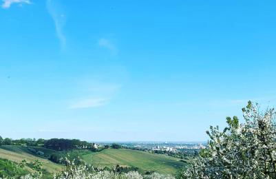 Ferienwohnung am Entenplatz - Foto 35