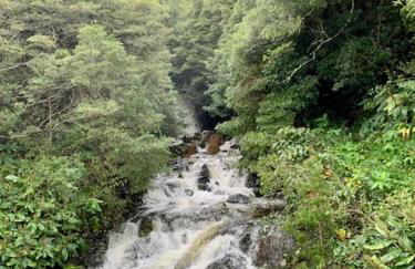 Cantinho dos Cagarros - Photo 16