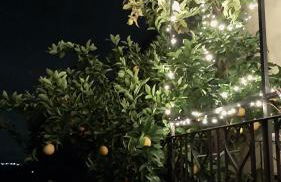 Casa Vacanze L'Amedeo - Foto 32