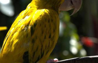 Casa espaçosa famíliar - Foto 22